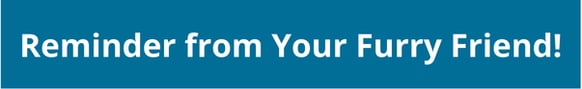 Interim Newsletter Banner OCT 2025 (Caregiver images) (20)