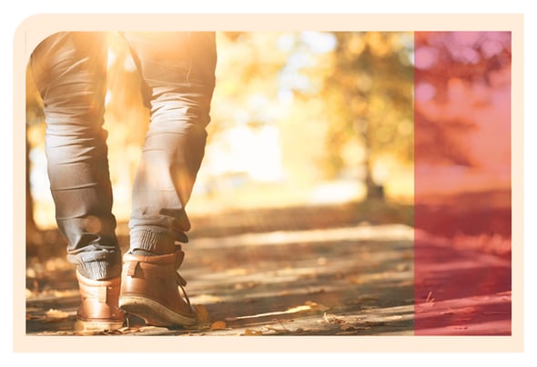 Interim Newsletter Banner OCT 2025 (Client images) (2)-1
